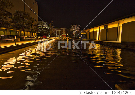 Night cherry blossoms at Fukui prefectural moat Night cherry blossoms at Fukui prefectural moat 101435262