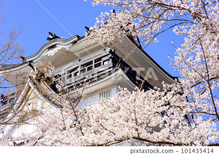 Yokote Castle Observatory Surrounded by Cherry Blossoms, Yokote City, Akita Prefecture Yokote Castle Observatory Surrounded by Cherry Blossoms, Yokote City, Akita Prefecture 101435414