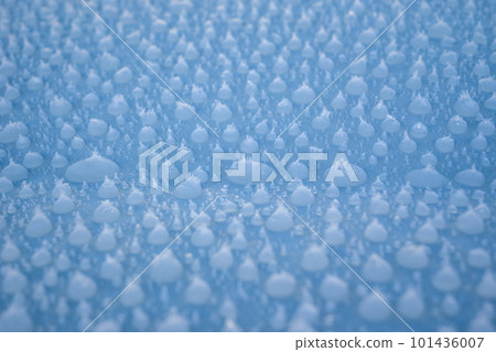 可愛的冰 101436007