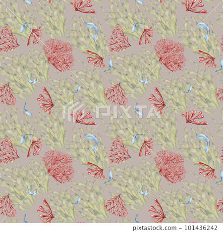 Seamless pattern of laminaria and coral watercolor isolated on pink background. Pink agar agar, sea plants and fish hand drawn. Design element for package, textile, paper, wrapping, marine collection 101436242