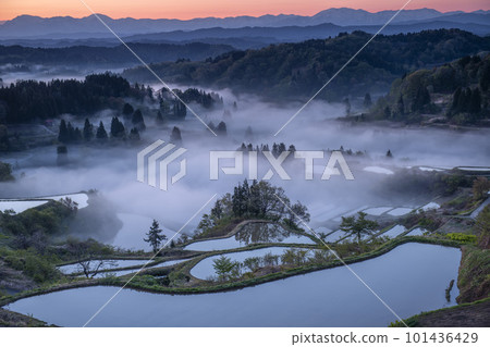 霧中梯田風光 霧中梯田風光 101436429