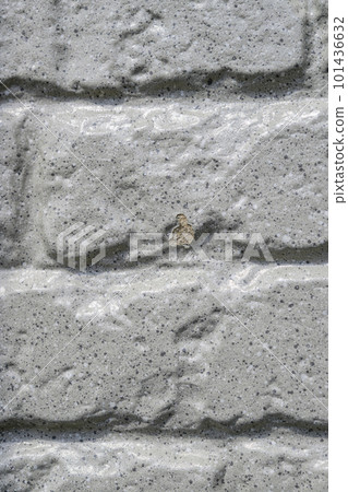 Close-up of the wall of the house where the paint film is missing (before and after the house renovation) 101436632