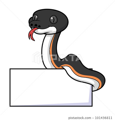 Cute gold albertisi snake cartoon with blank sign Cute gold albertisi snake cartoon with blank sign 101436811