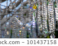 glass butterfly 101437158