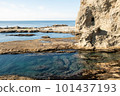 Rocky shore 101437193