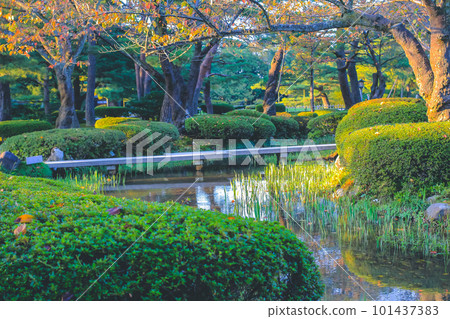1 Nov 2013 the landscape of Kenroku Garden, Kanazawa, Japan 101437383