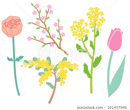Spring flower set 101437940