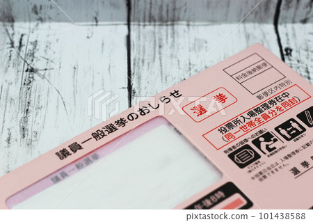 選舉圖片(投票指南郵件) 選舉圖片(投票指南郵件) 101438588