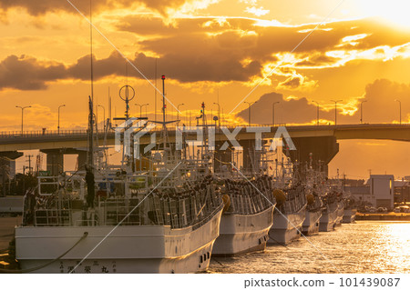停泊在八戶港的“青森縣”魷魚漁船和夕陽 101439087