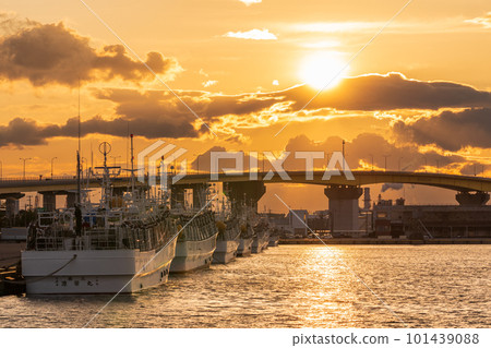 停泊在八戶港的“青森縣”魷魚漁船和夕陽 101439088