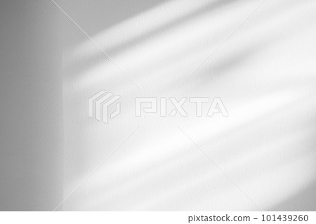 Window shadow drop on white wall background 101439260