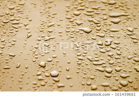 Raindrops on the hood of a car Raindrops on the hood of a car 101439681