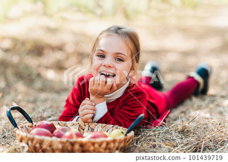 Child picking apples on farm in autumn. girl lying on ground near basket with pears and apples. Healthy nutrition. Harvest Concept. Child picking apples on farm in autumn. girl lying on ground near basket with pears and apples. Healthy nutrition. Harvest Concept. 101439719