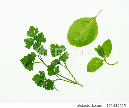 Herb white background 101439915