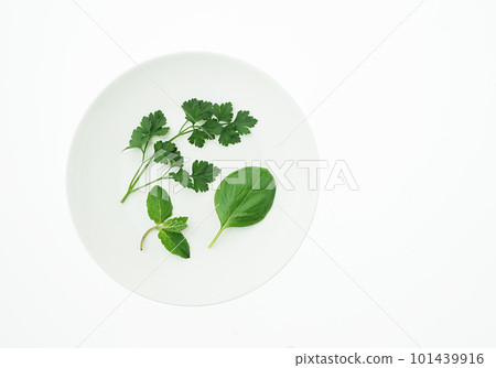 Herb white background 101439916