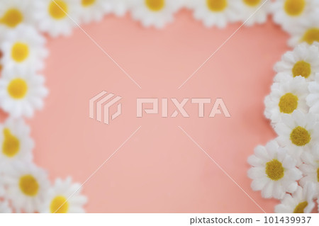 Spring Daisy frame white flowers against soft pink pastel background.Minimal styled concept. White daisy chamomile flowers on pale pink background. Creative lifestyle, summer, spring concept. Copy Spring Daisy frame white flowers against soft pink pastel background.Minimal styled concept. White daisy chamomile flowers on pale pink background. Creative lifestyle, summer, spring concept. Copy 101439937