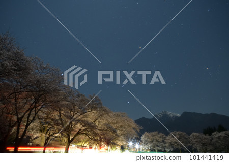北斗市竹川町，月光照亮了摩原的一排櫻花樹和星空，從左到右：天狼星、獵戶座和畢宿五 101441419