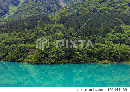 Kurobe Gorge Railway's lush greenery seen from a train window in Japan Kurobe Gorge Railway's lush greenery seen from a train window in Japan 101441489