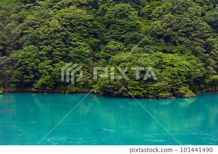 Kurobe Gorge Railway's lush greenery seen from a train window in Japan Kurobe Gorge Railway's lush greenery seen from a train window in Japan 101441490