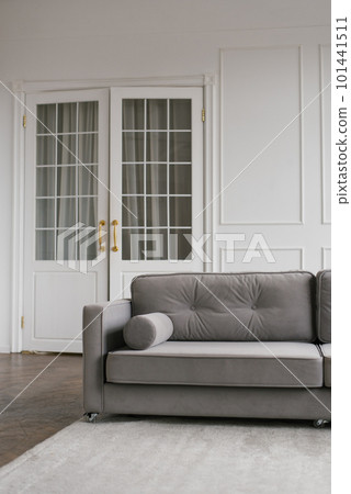 Gray modern sofa in the interior of a cozy living room 101441511