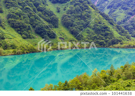 Kurobe Gorge Railway's lush greenery seen from a train window in Japan Kurobe Gorge Railway's lush greenery seen from a train window in Japan 101441638