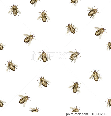 Watercolor seamless, cartoon pattern with flowers and insects on a background. Kids style background with beautiful summer or spring flowers. Applicable for textiles, wallpapers, decor. Watercolor seamless, cartoon pattern with flowers and insects on a background. Kids style background with beautiful summer or spring flowers. Applicable for textiles, wallpapers, decor. 101442060