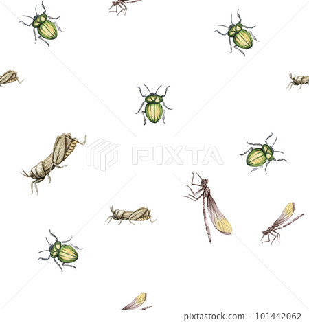 Watercolor seamless, cartoon pattern with flowers and insects on a background. Kids style background with beautiful summer or spring flowers. Applicable for textiles, wallpapers, decor. Watercolor seamless, cartoon pattern with flowers and insects on a background. Kids style background with beautiful summer or spring flowers. Applicable for textiles, wallpapers, decor. 101442062