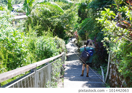 A woman sightseeing in Houtong Cat Village, Taiwan A woman sightseeing in Houtong Cat Village, Taiwan 101442063