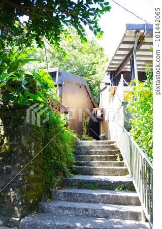 台灣猴硐貓村風光 台灣猴硐貓村風光 101442065