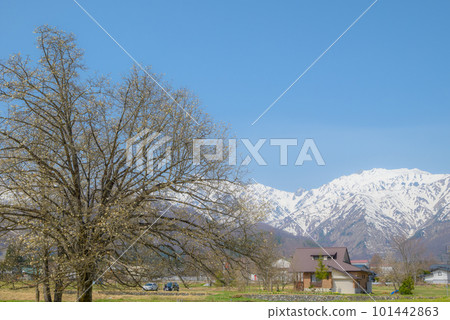 Shijukuin no Kobushi [北安曇區白馬村] 101442863