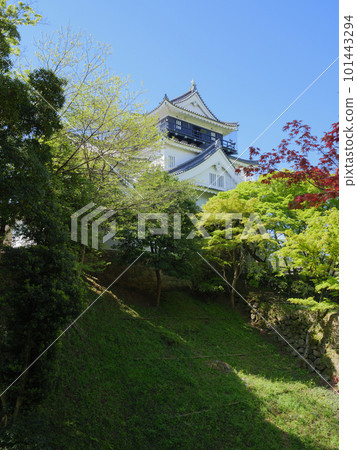 岡崎城守和清見護城河 岡崎城守和清見護城河 101443294