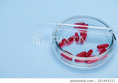 Horizontal photo on blue background of lab stick on petri dish with fat-soluble vitamin E gelatin capsules. Clinical research. Pharmacology. Pharmaceutical industry. Medicines and prescription pills 101443311