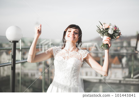Beautiful fashion bride in wedding dress posing Beautiful fashion bride in wedding dress posing 101443841