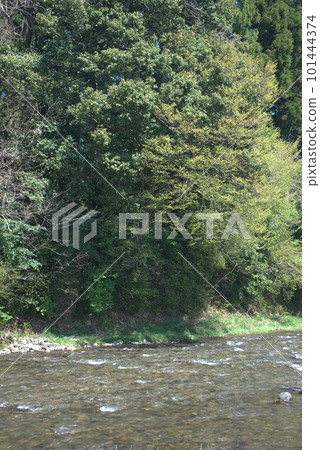 The Yamada River flowing through the Kamise district of Fuchu-cho, Toyama City, Toyama Prefecture The Yamada River flowing through the Kamise district of Fuchu-cho, Toyama City, Toyama Prefecture 101444374