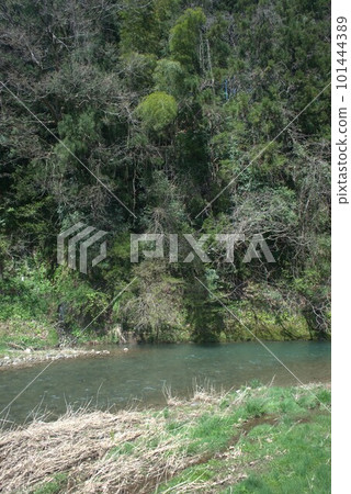 The Yamada River flowing through the Kamise district of Fuchu-cho, Toyama City, Toyama Prefecture 101444389