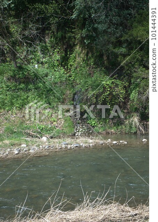 The Yamada River flowing through the Kamise district of Fuchu-cho, Toyama City, Toyama Prefecture 101444391