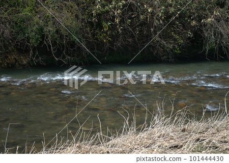 The Yamada River flowing through the Kamise district of Fuchu-cho, Toyama City, Toyama Prefecture 101444430