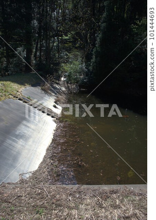 In the mountains in the Senri district of Fuchu-cho, Toyama City, Toyama Prefecture In the mountains in the Senri district of Fuchu-cho, Toyama City, Toyama Prefecture 101444693