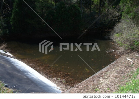 In the mountains in the Senri district of Fuchu-cho, Toyama City, Toyama Prefecture In the mountains in the Senri district of Fuchu-cho, Toyama City, Toyama Prefecture 101444712