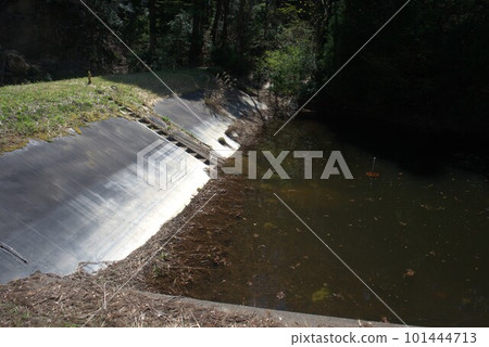 In the mountains in the Senri district of Fuchu-cho, Toyama City, Toyama Prefecture 101444713