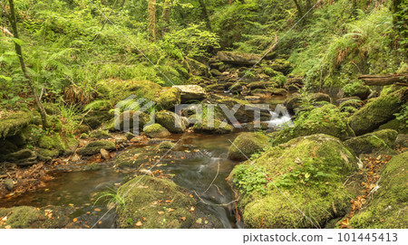 Fragas do Eume Natural Park, Pontedeume, Spain 101445413