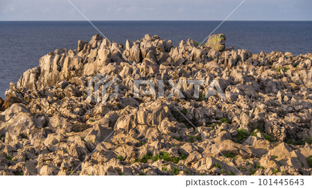 Rocky Coast, Pria Cliffs, Karst Formation, Llames de Pria, Spain 101445643