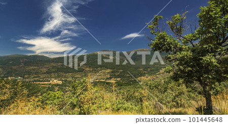 Valle del Jerte, Spain 101445648