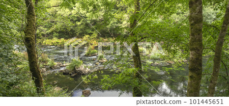 Fragas do Eume Natural Park, Pontedeume, Spain 101445651