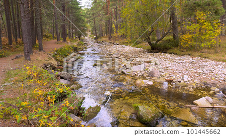 Eresma River, Sierra de Guadarrama National Park, Spain 101445662