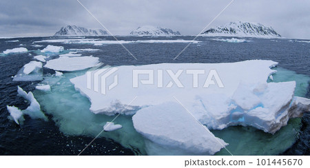 Drift floating Ice, Albert I Land, Arctic 101445670