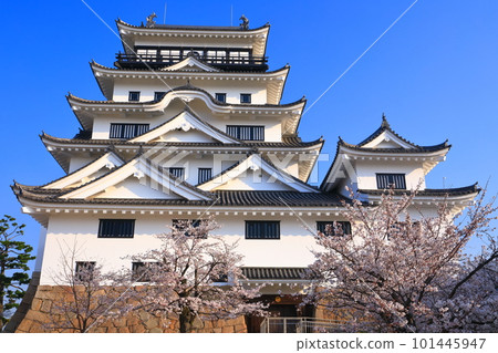 [廣島縣]盛開的櫻花和重建後的福山城 101445947