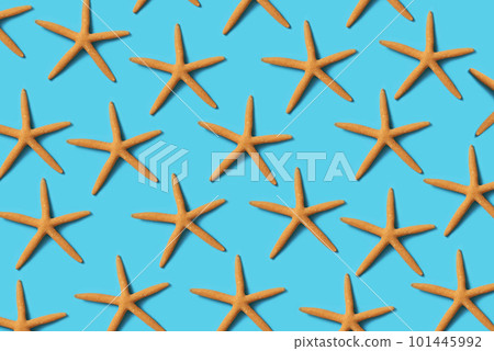 starfish on a blue background starfish on a blue background 101445992