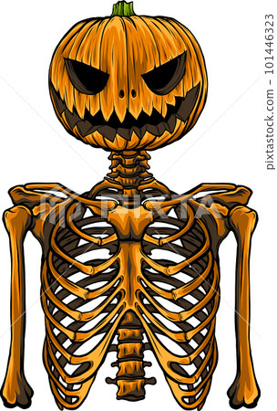 head pumpkin on human skeleton. vector illustration on white background digital hand draw 101446323