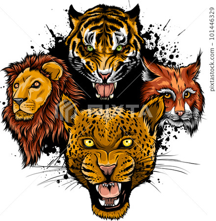 Cartoon big cats vector set. Illustration of cougar, jaguar, leopard, lion, tiger, cheetah, snow leopard. Cartoon big cats vector set. Illustration of cougar, jaguar, leopard, lion, tiger, cheetah, snow leopard. 101446329